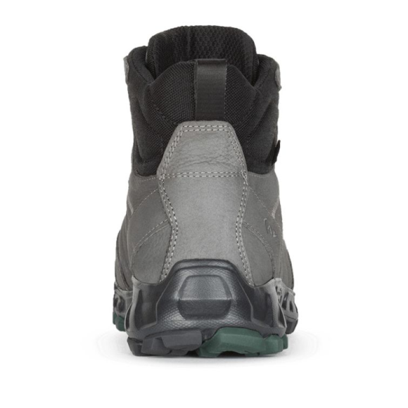 Ботинки AKU COLDAI NBK GTX, grey