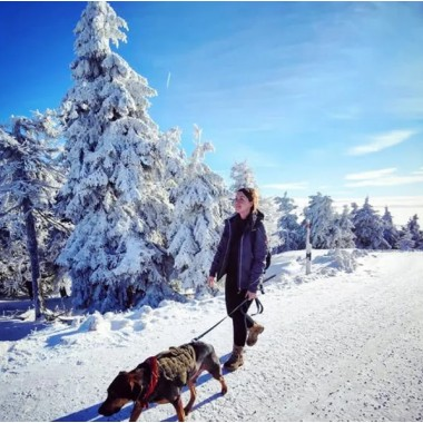 Тактические ботинки HAIX Combat GTX Coyote